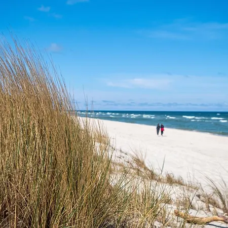 Lesny Ogrod - Kompleks Wydma & - 200 M Do Morza, Widok Na Sosnowy Las, Lesny Ogrod O Pow 160 M2, Bezplatny Parking, Faktura Vat, Ochrona, Plac Zabaw, Boisko Wielofunkcyjne Appartamento *