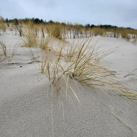 Appartamento Lesny Ogrod - Kompleks Wydma & - 200 M Do Morza, Widok Na Sosnowy Las, Lesny Ogrod O Pow 160 M2, Bezplatny Parking, Faktura Vat, Ochrona, Plac Zabaw, Boisko Wielofunkcyjne Jastarnia