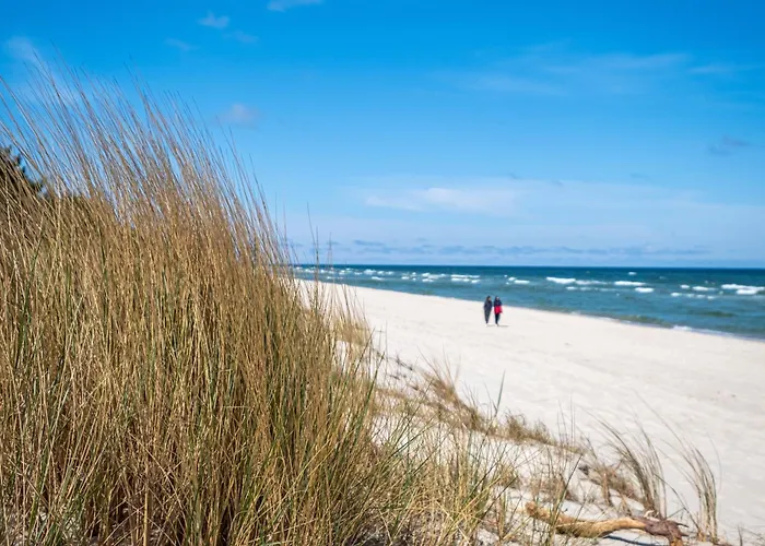 Leśny Ogród - Kompleks Wydma&las - 200 M Do Morza, Widok Na Sosnowy Las, Leśny Ogród O Pow 160 M2, Bezpłatny Parking, Faktura Vat, Ochrona, Plac Zabaw, Boisko Wielofunkcyjne Apartamento *