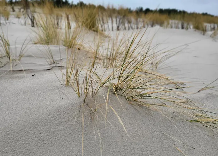 Apartamento Leśny Ogród - Kompleks Wydma&las - 200 M Do Morza, Widok Na Sosnowy Las, Leśny Ogród O Pow 160 M2, Bezpłatny Parking, Faktura Vat, Ochrona, Plac Zabaw, Boisko Wielofunkcyjne Jastarnia