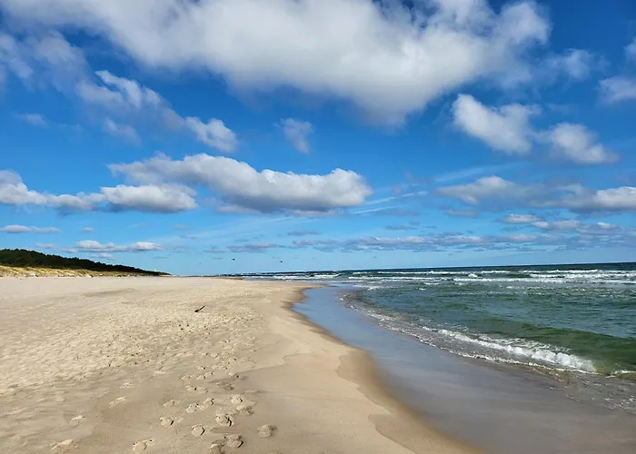 Leśny Ogród - Kompleks Wydma&las - 200 M Do Morza, Widok Na Sosnowy Las, Leśny Ogród O Pow 160 M2, Bezpłatny Parking, Faktura Vat, Ochrona, Plac Zabaw, Boisko Wielofunkcyjne Jastarnia